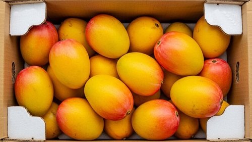 Indian Mango