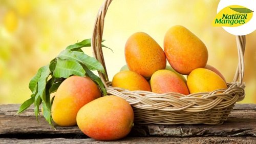 Mango Benefits