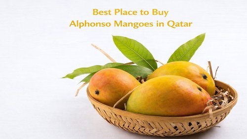 Mango Online Qatar