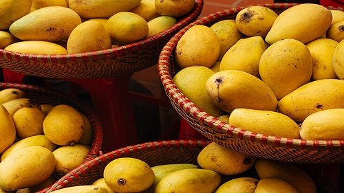 Mango Qatar