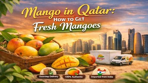 Mango Qatar