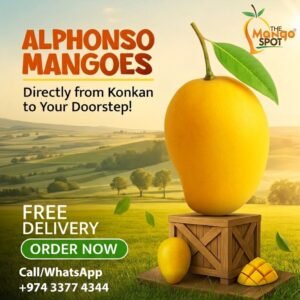 Alphonso Mango